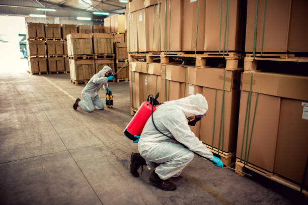 Best Bed Bug Extermination  in Mcdade, TX