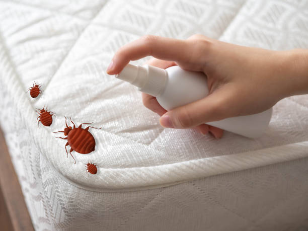 Best Affordable Pest Control Services  in Mcdade, TX