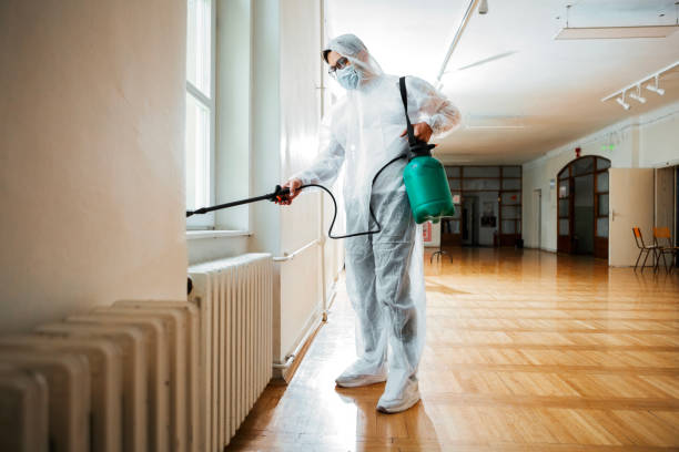Professional Pest Control in Mcdade, TX