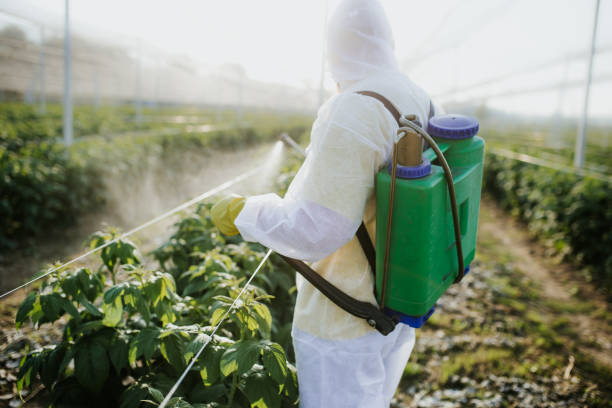 Best Mosquito Control Services  in Mcdade, TX